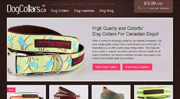 Dog Collars