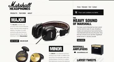 Marshall Headphones