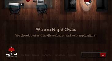 Night Owl Interactive