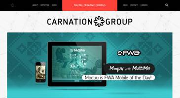 CarnationGroup