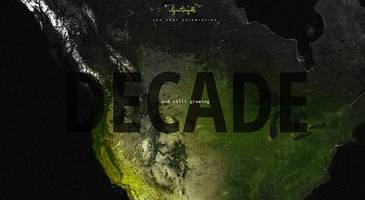 Decade – Elegant Seagulls