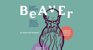 Beaver